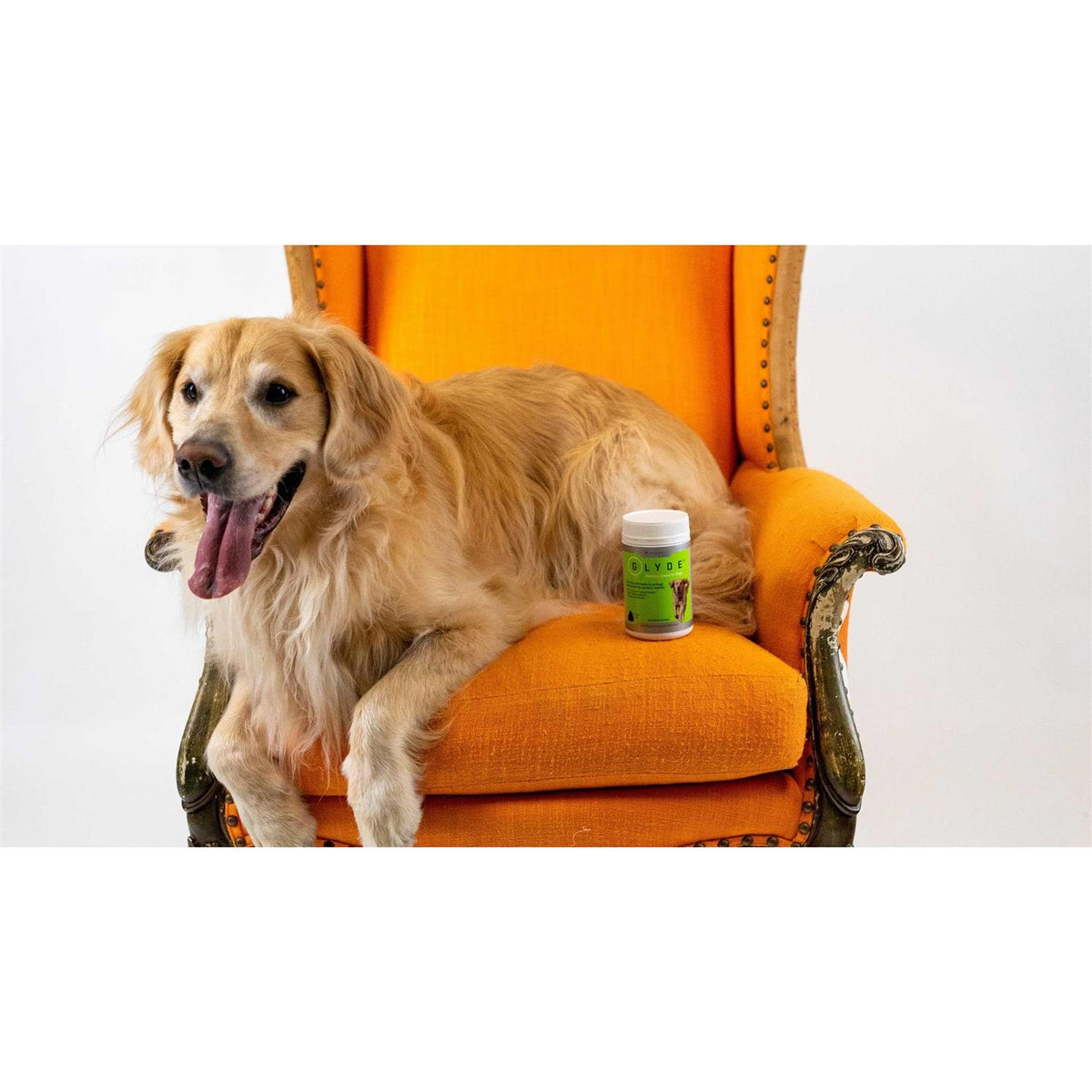 Mobility Chews for Dogs H174094