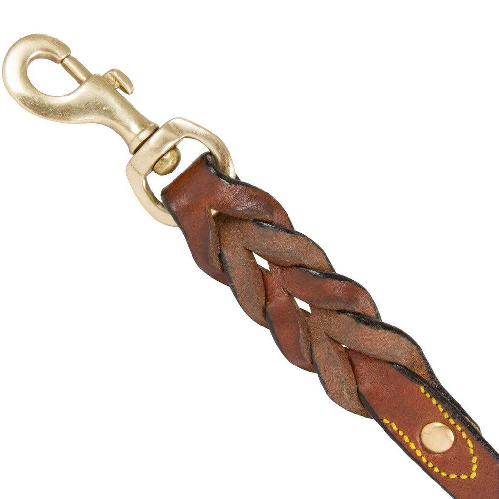 Leather Braided Dog Leash M760