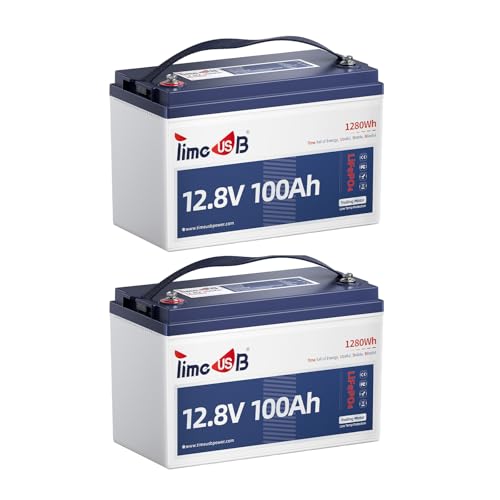 12V 100Ah LiFePO4 Marine Battery with Low-Temp Protection, 100A BMS U397311