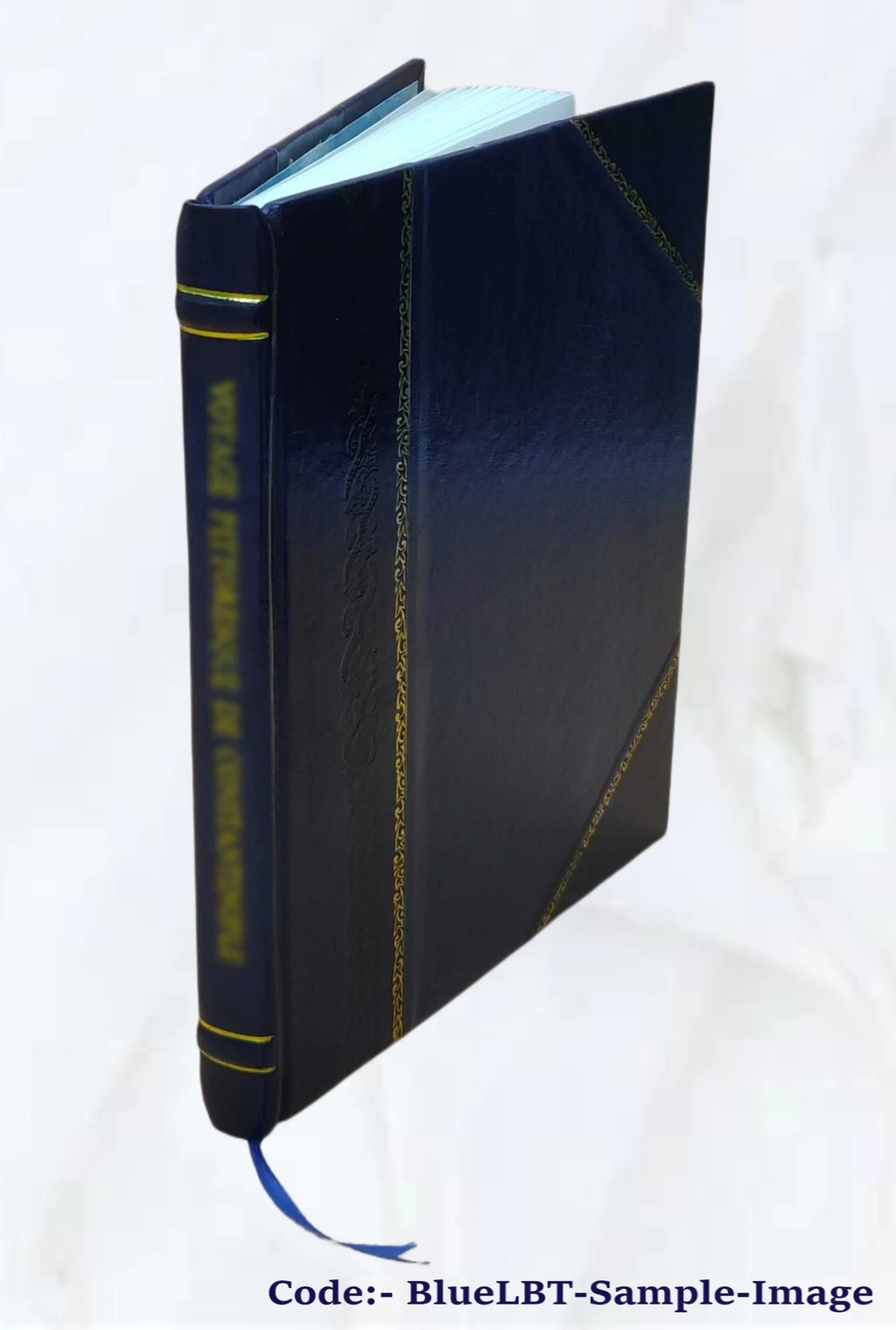 Leather Bound Book T461