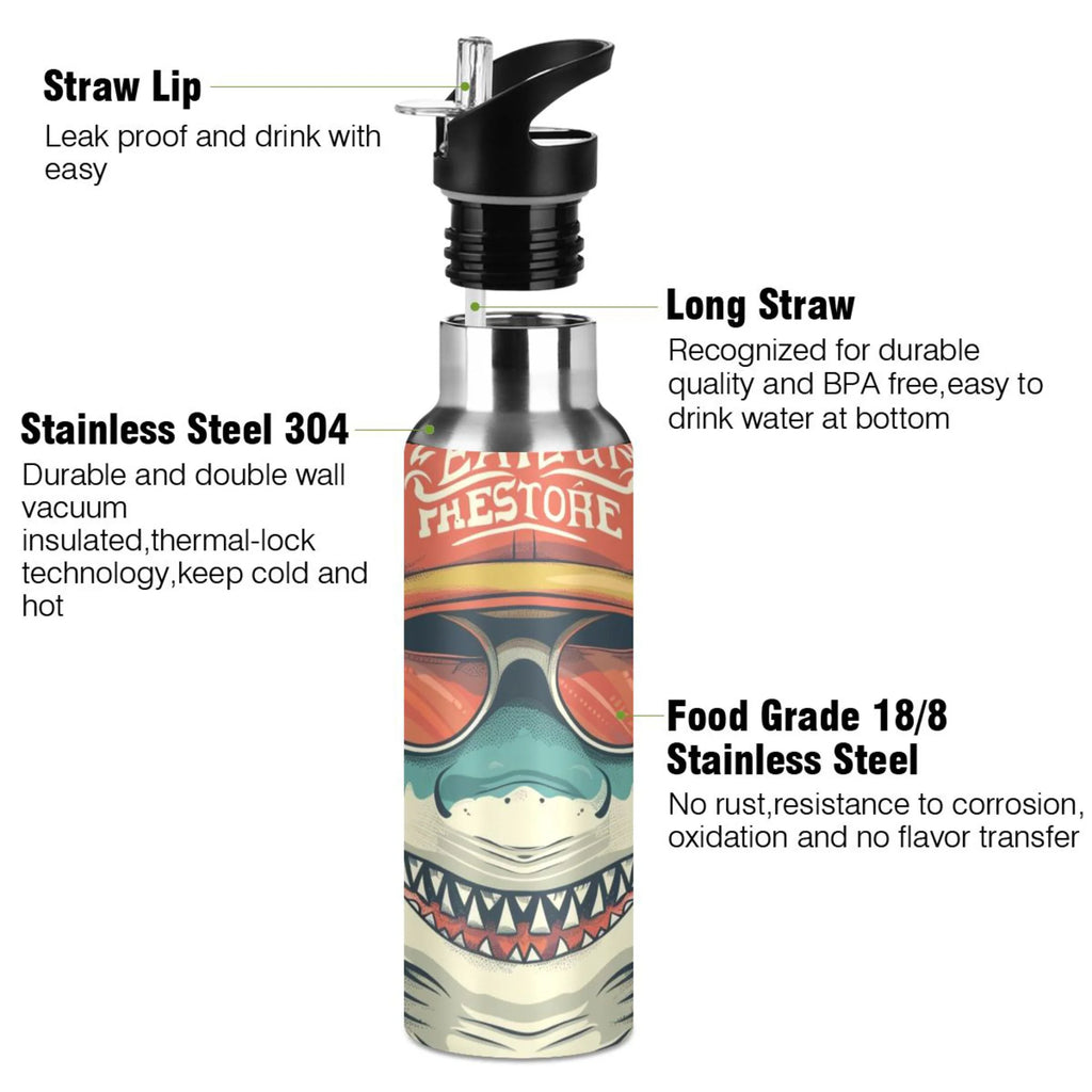 Insulated Stainless Steel Water Bottle with Straw Lid, 20 oz S243664