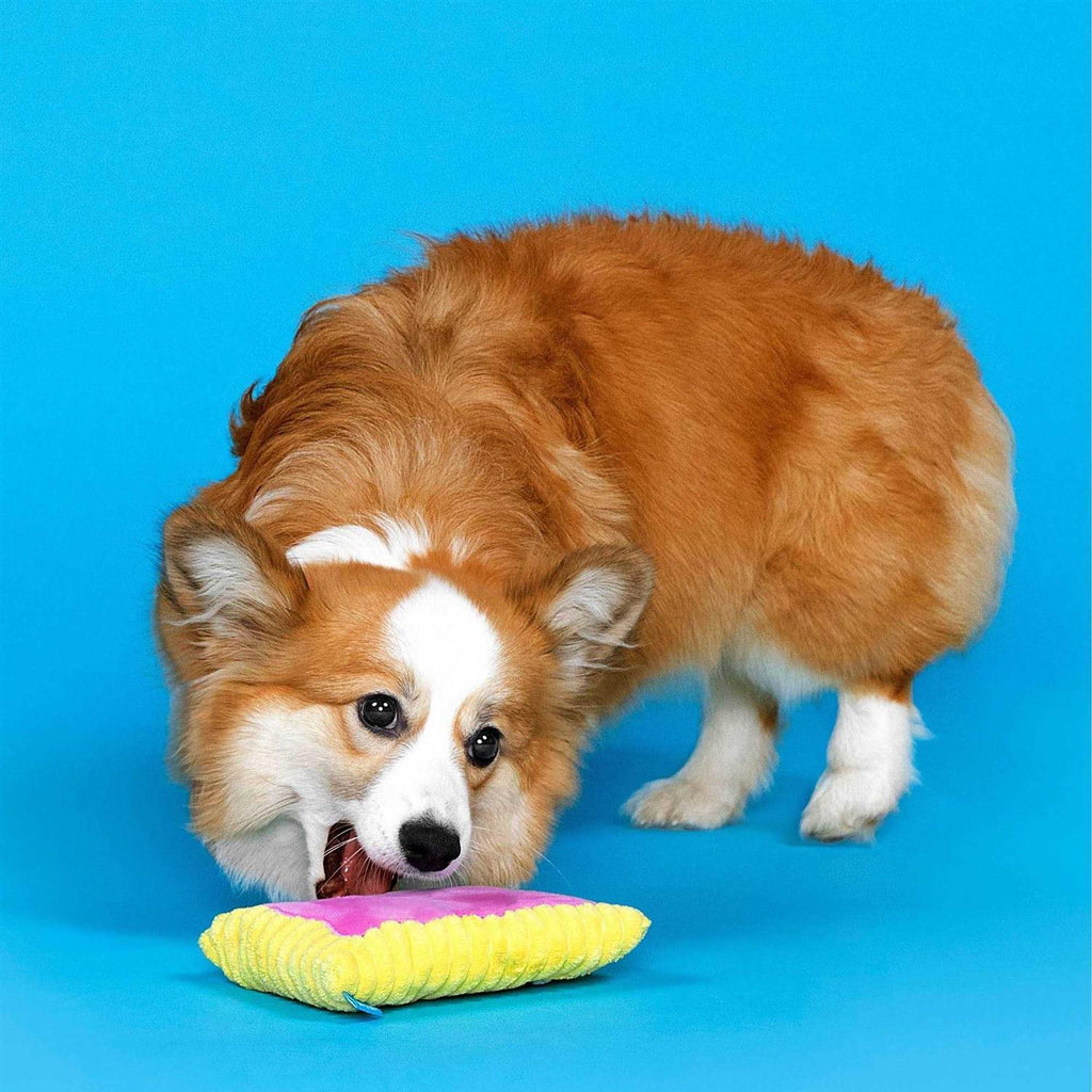 Toaster Pastry Dog Toy J40310