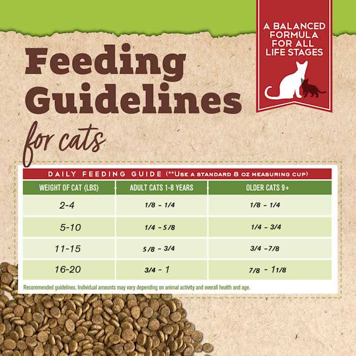 Organic Chicken & Liver Recipe Dry Cat Food L9956