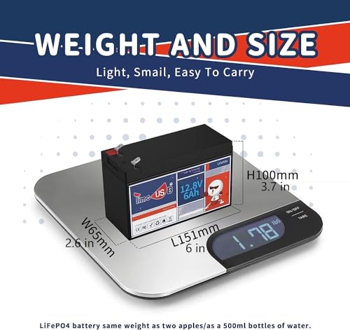 12V 100Ah LiFePO4 Marine Battery with Low-Temp Protection, 100A BMS U397311