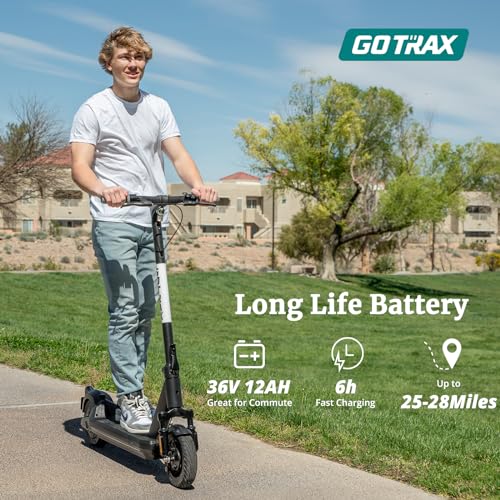 8.5" Solid Tire Electric Scooter I569
