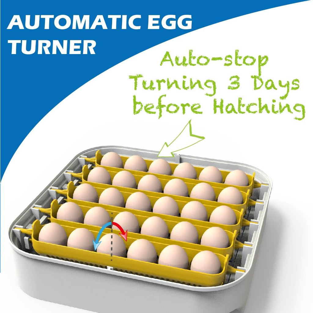 30 Egg Incubator with Humidity Display, Automatic Egg Turner S8728