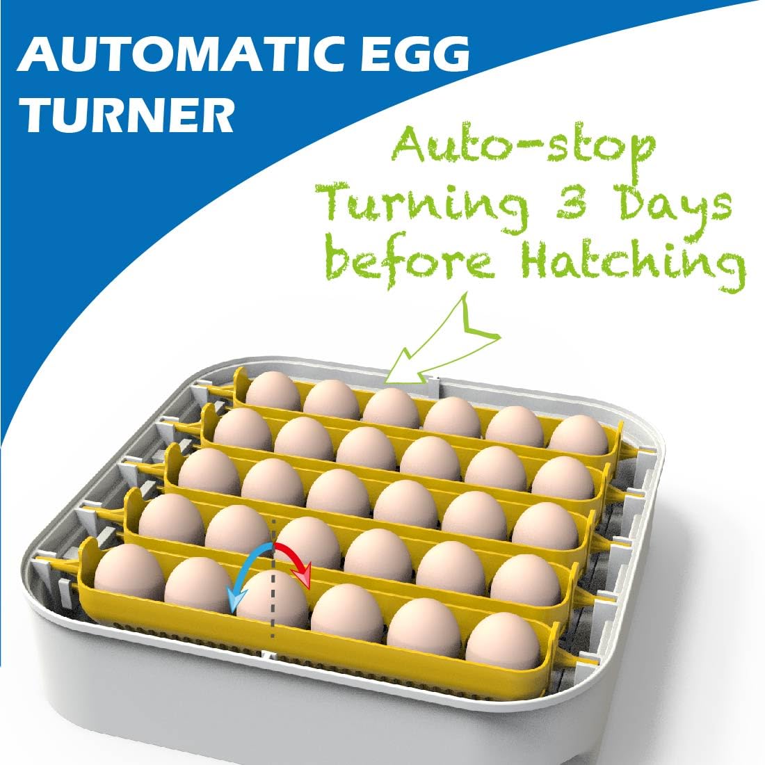 30 Egg Incubator with Humidity Display, Automatic Egg Turner S8728