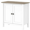 2 Door Accent Cabinet G508531