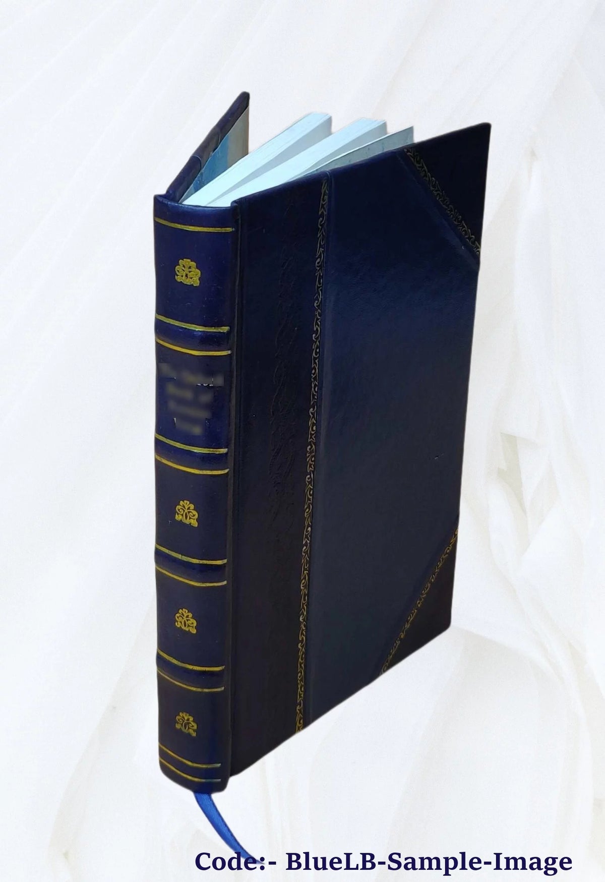 Defective Eyesight Leather Bound R67732