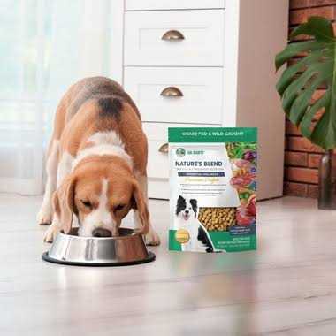 Freeze-Dried Dog Food Q695773