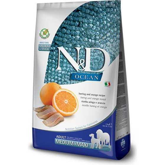 Grain Free Dry Dog Food J73434