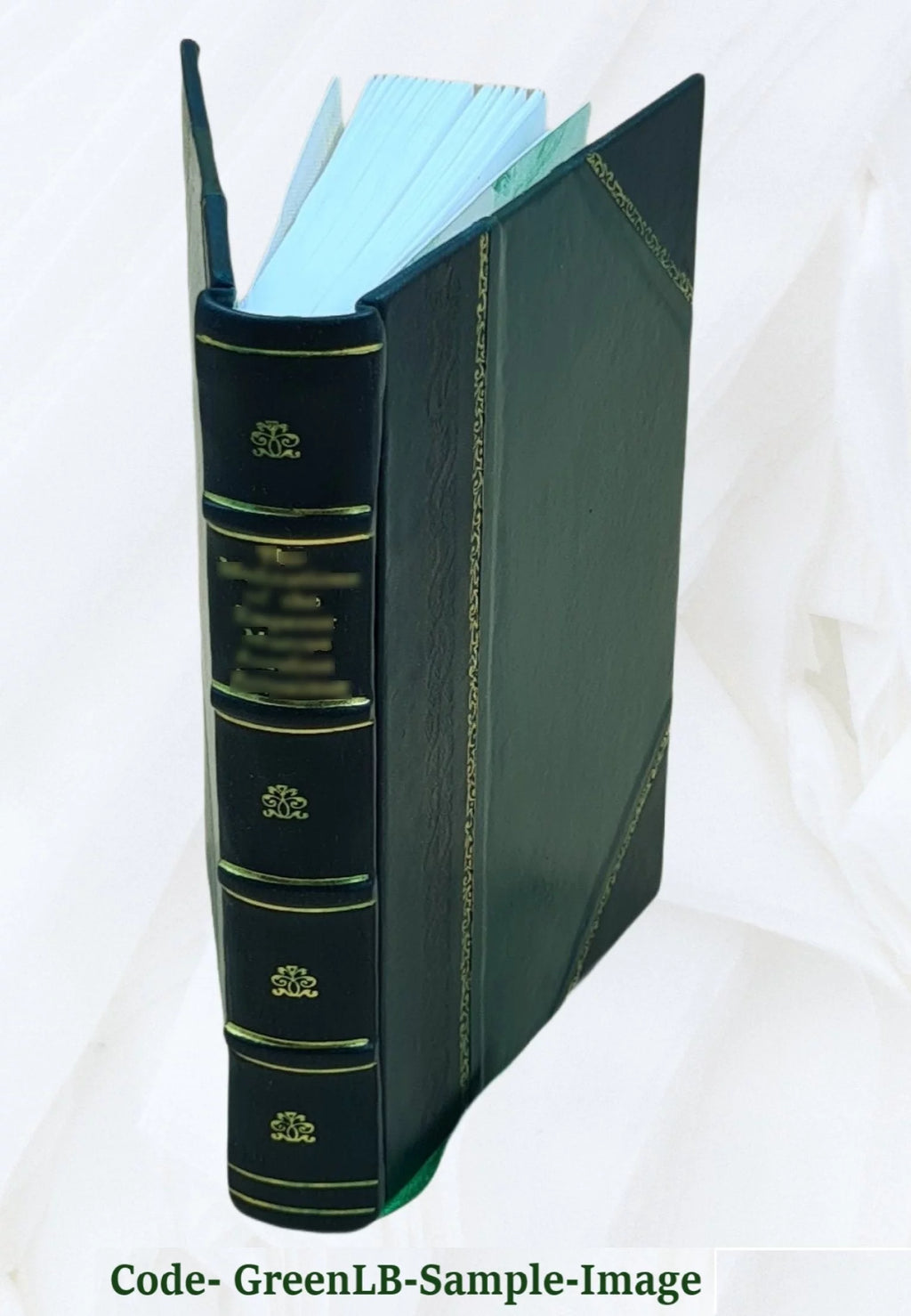 Defective Eyesight Leather Bound R67732