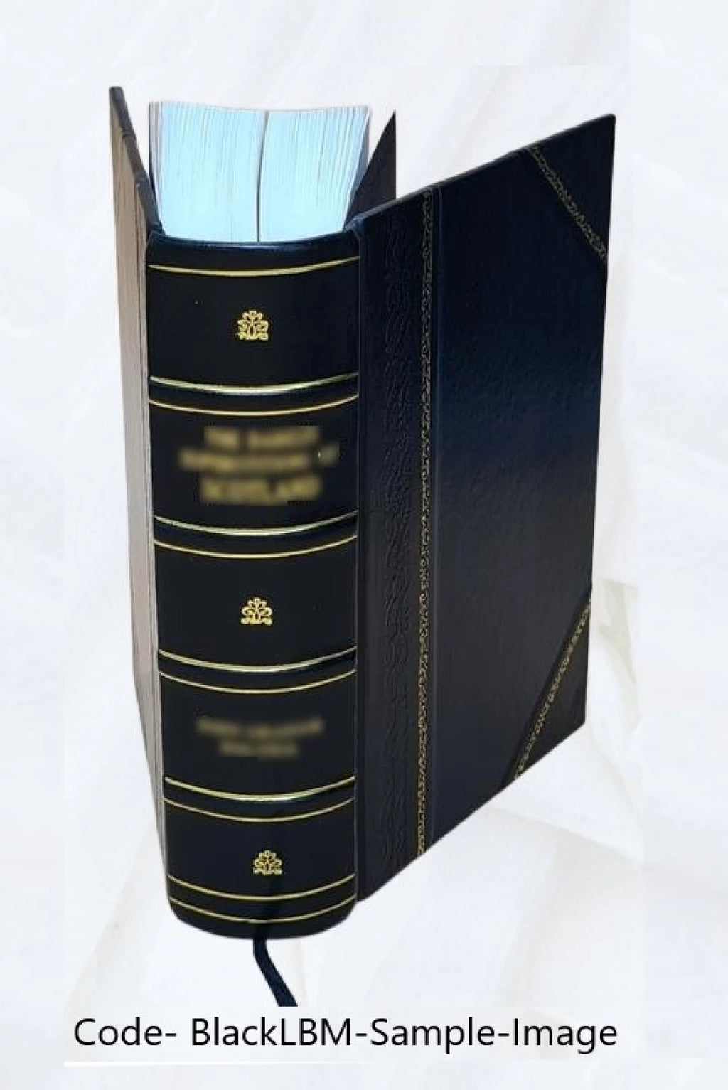 Semiconductor and Tube Electronics Leather Bound I84258