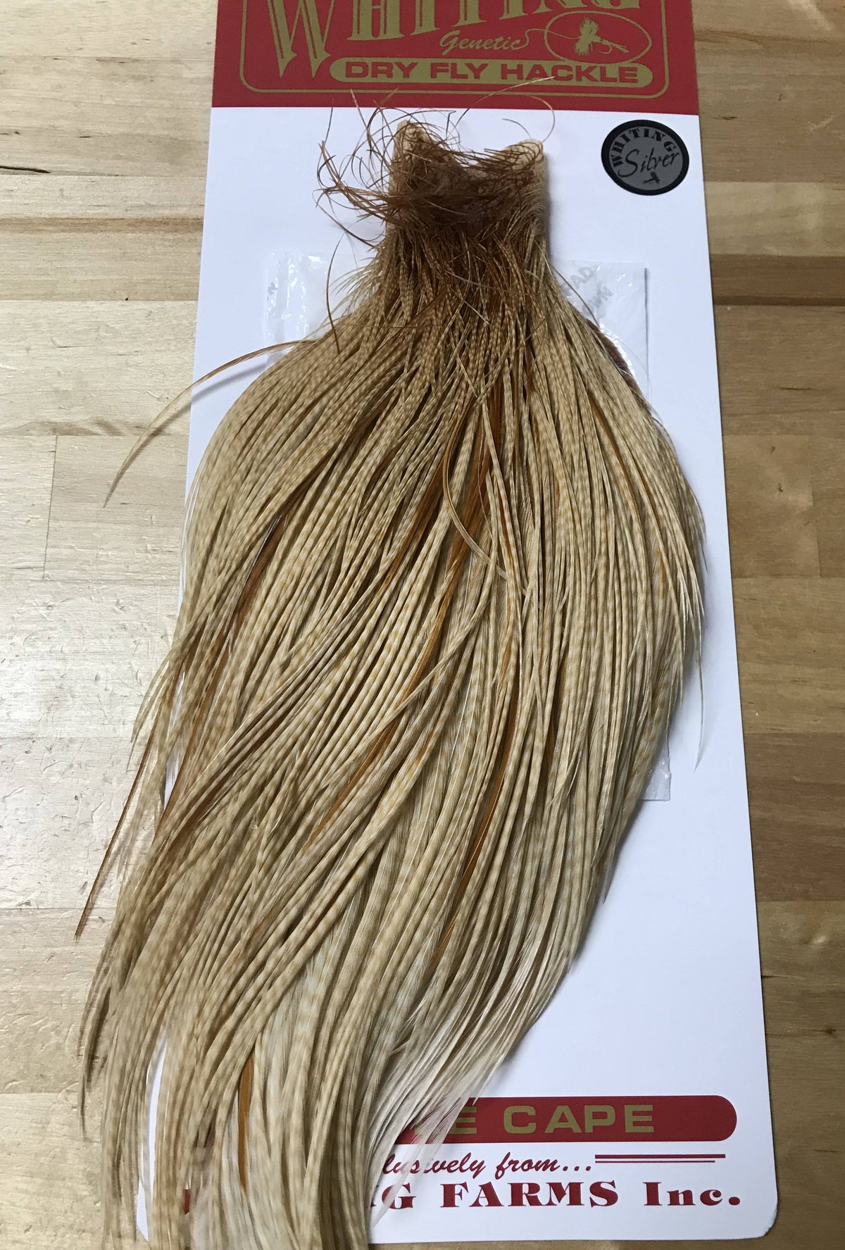 Silver Cape Medium Ginger Z1969