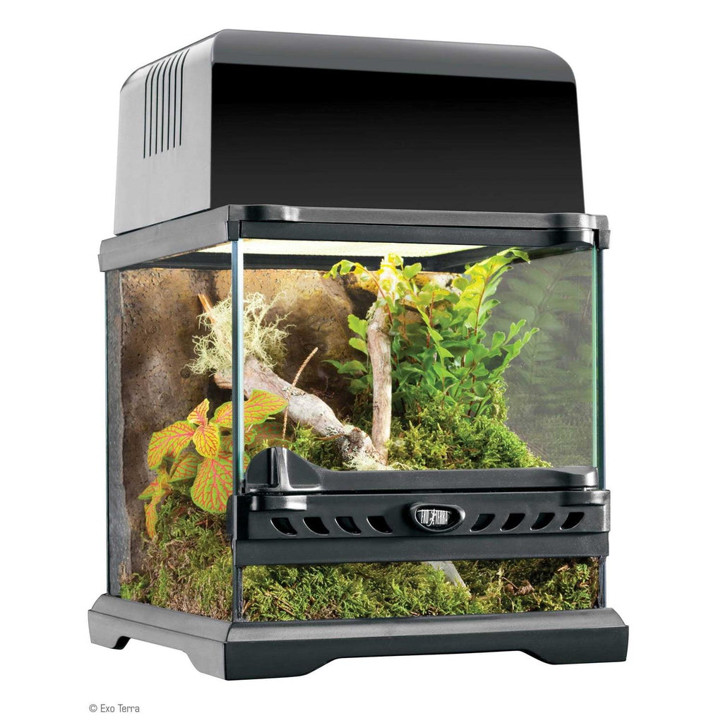Glass Terrarium E14456