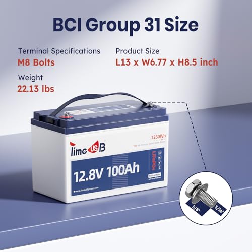 12V 100Ah LiFePO4 Marine Battery with Low-Temp Protection, 100A BMS U397311