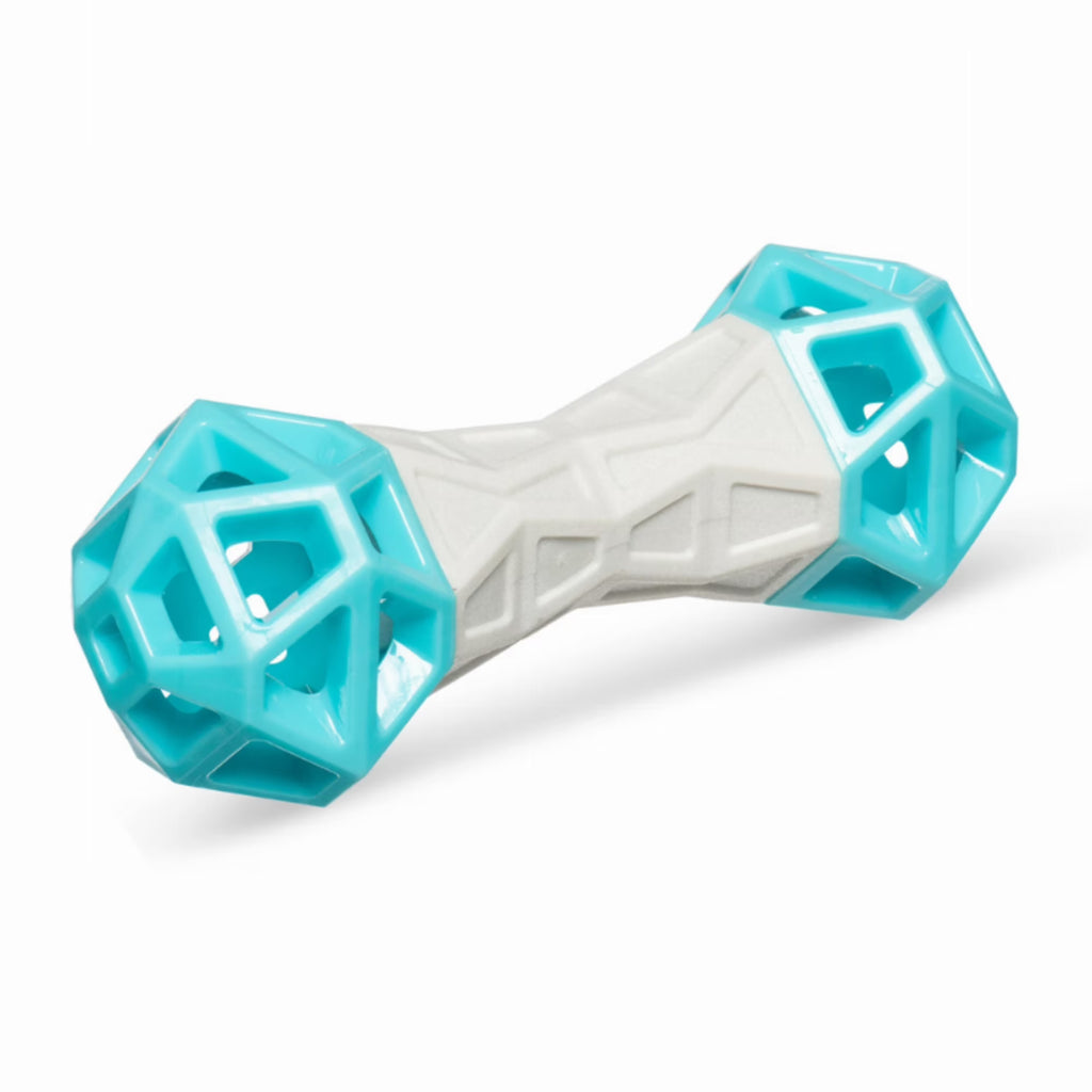 Flex n' Squeak Toy I415