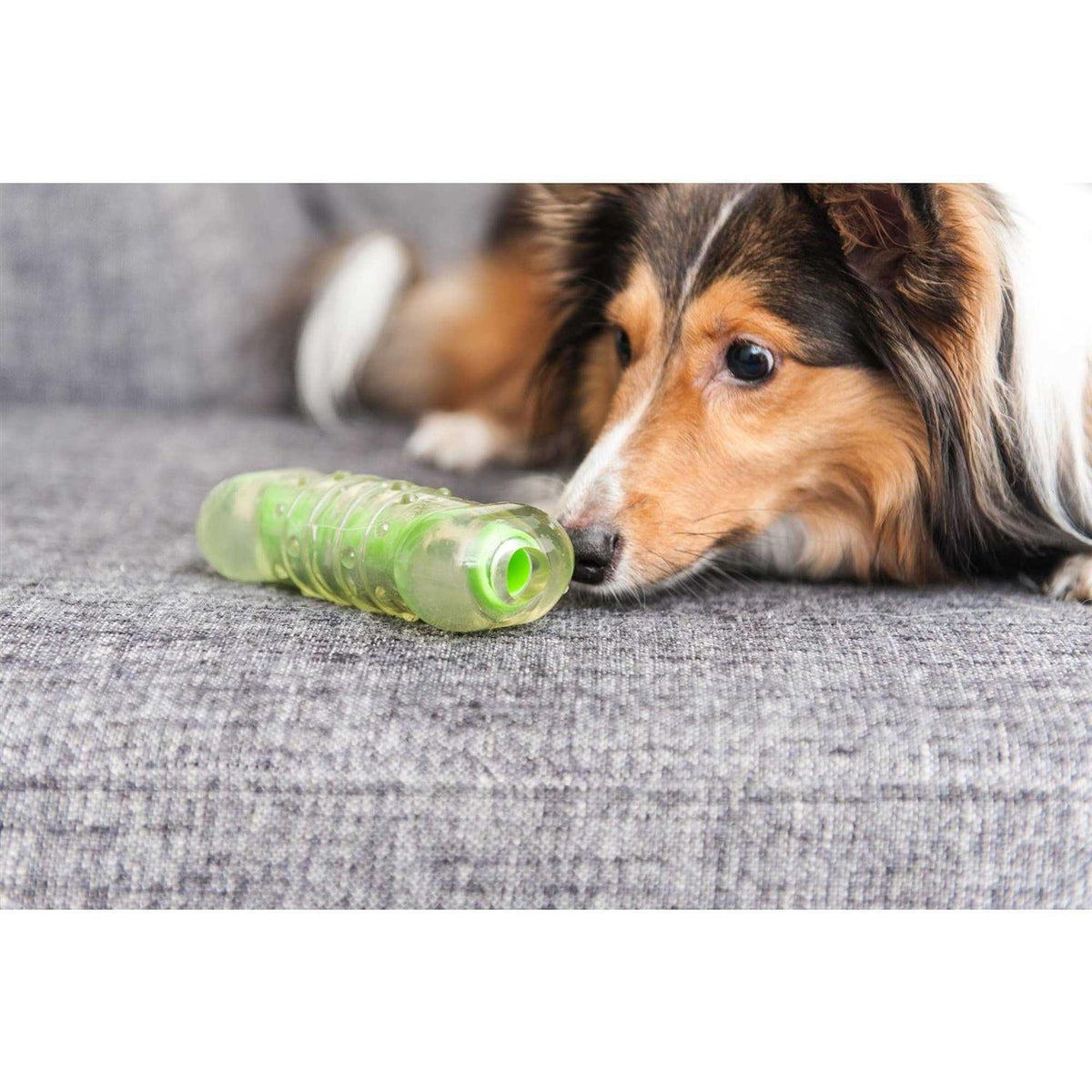 Crunchcore Bone Dog Chew Toy G67757