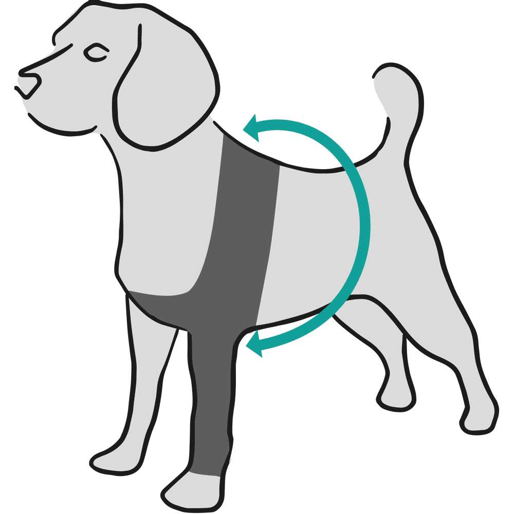 Dog Recovery Sleeve I592
