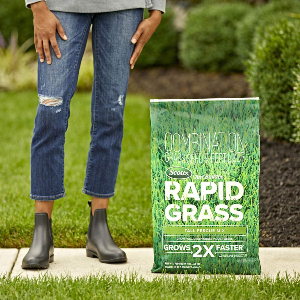 Tall Fescue Mix Seed & Fertilizer, 16 lbs. Pack of 2 Y23281