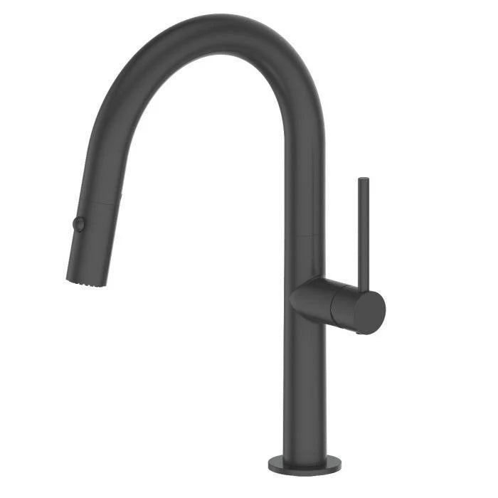 Matte Black Kitchen Faucet D2003