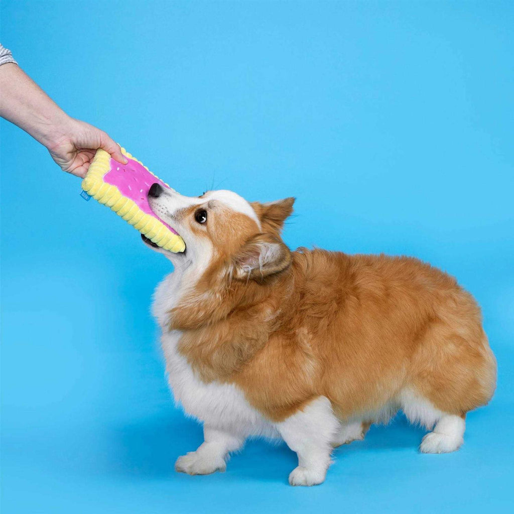 Toaster Pastry Dog Toy J40310