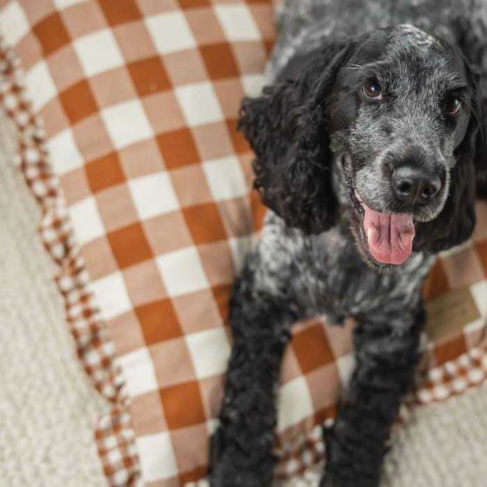 Brown Gingham Print Envelope Dog Bed D25777