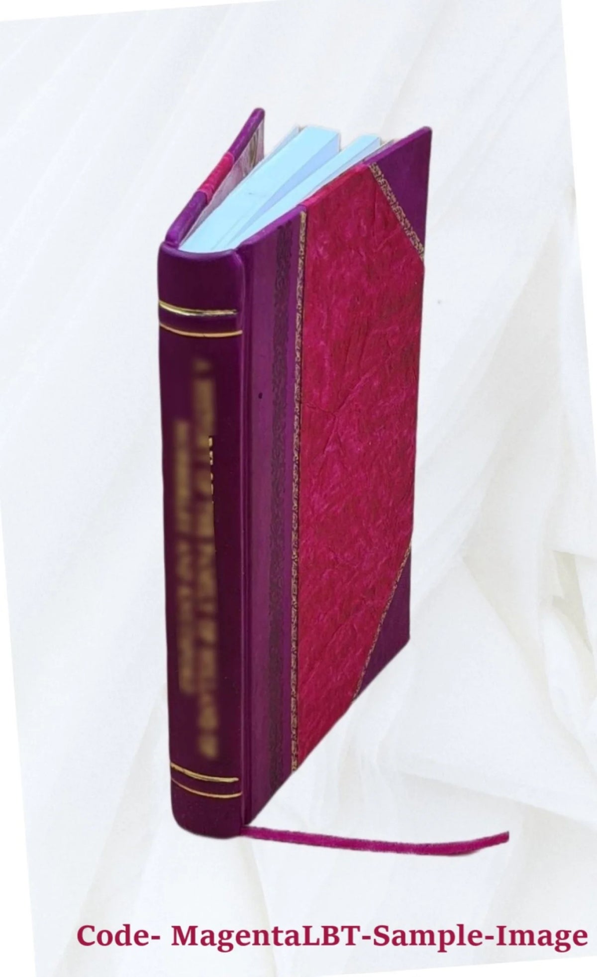 Leather Bound Book T461