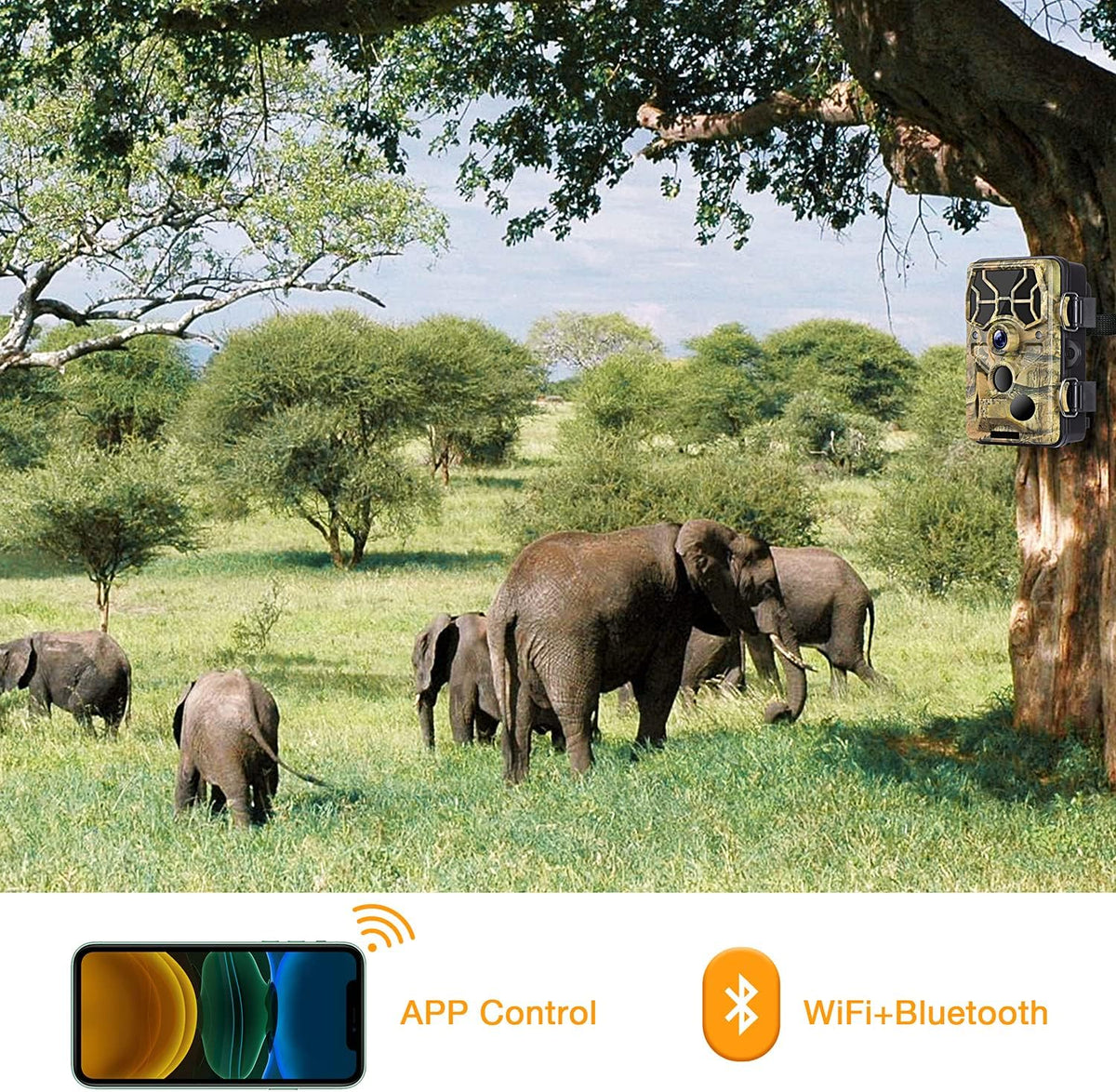 WiFi Bluetooth 1296P 20MP Hunting Game Camera Night Vision Waterproof IP66 R790807