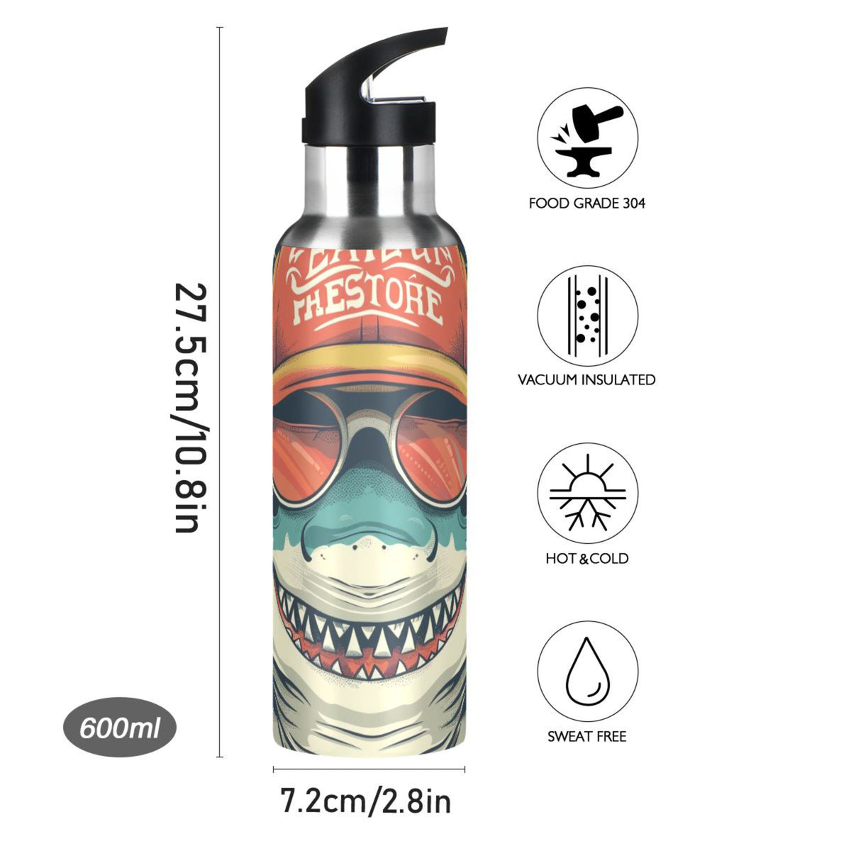 Insulated Stainless Steel Water Bottle with Straw Lid, 20 oz S243664