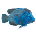 Blue Grouper Wildlife Figurine O257