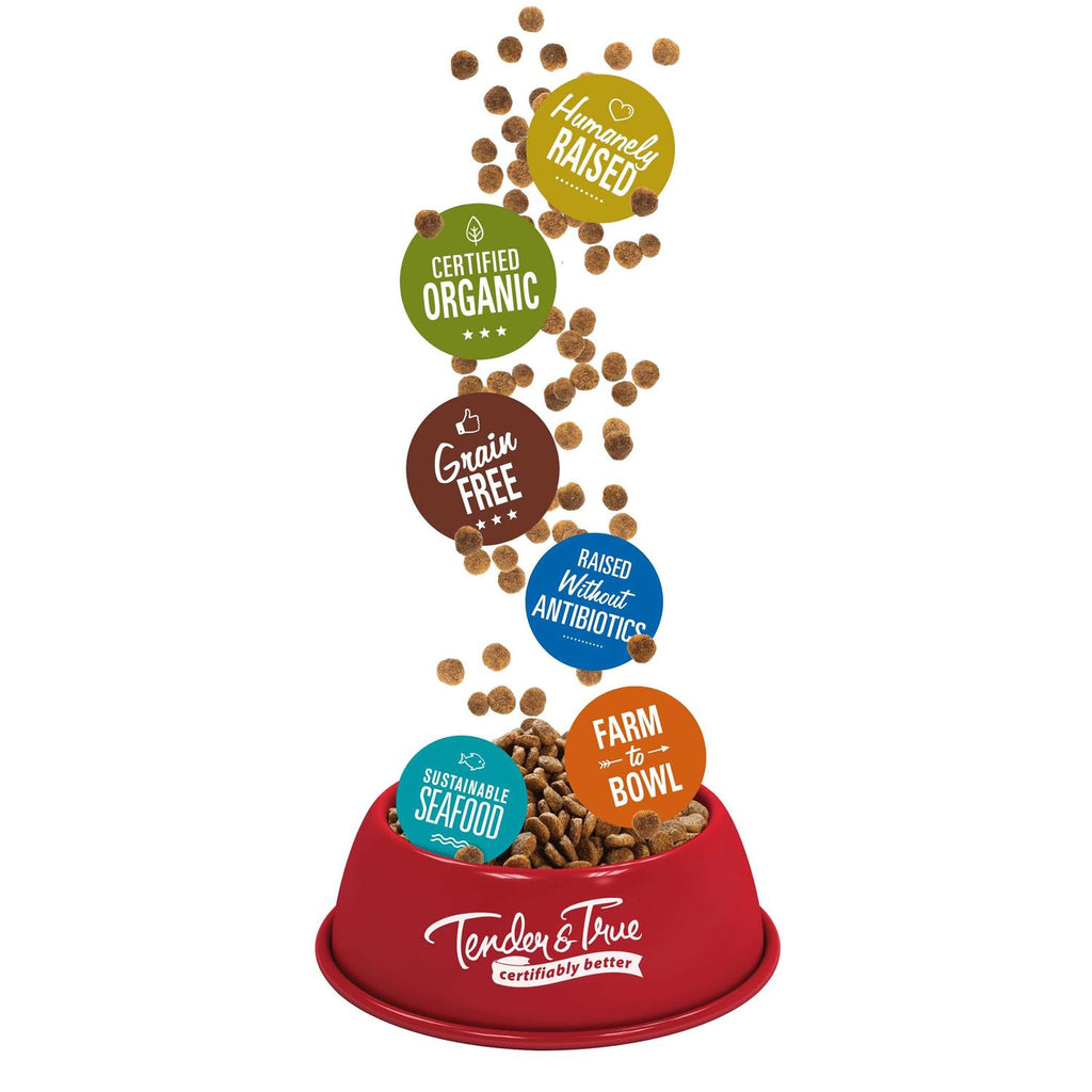 Organic Chicken & Liver Recipe Dry Cat Food L9956