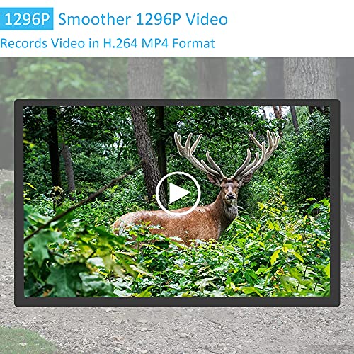 48MP 1296p Trail Camera with 100ft Night Vision O169