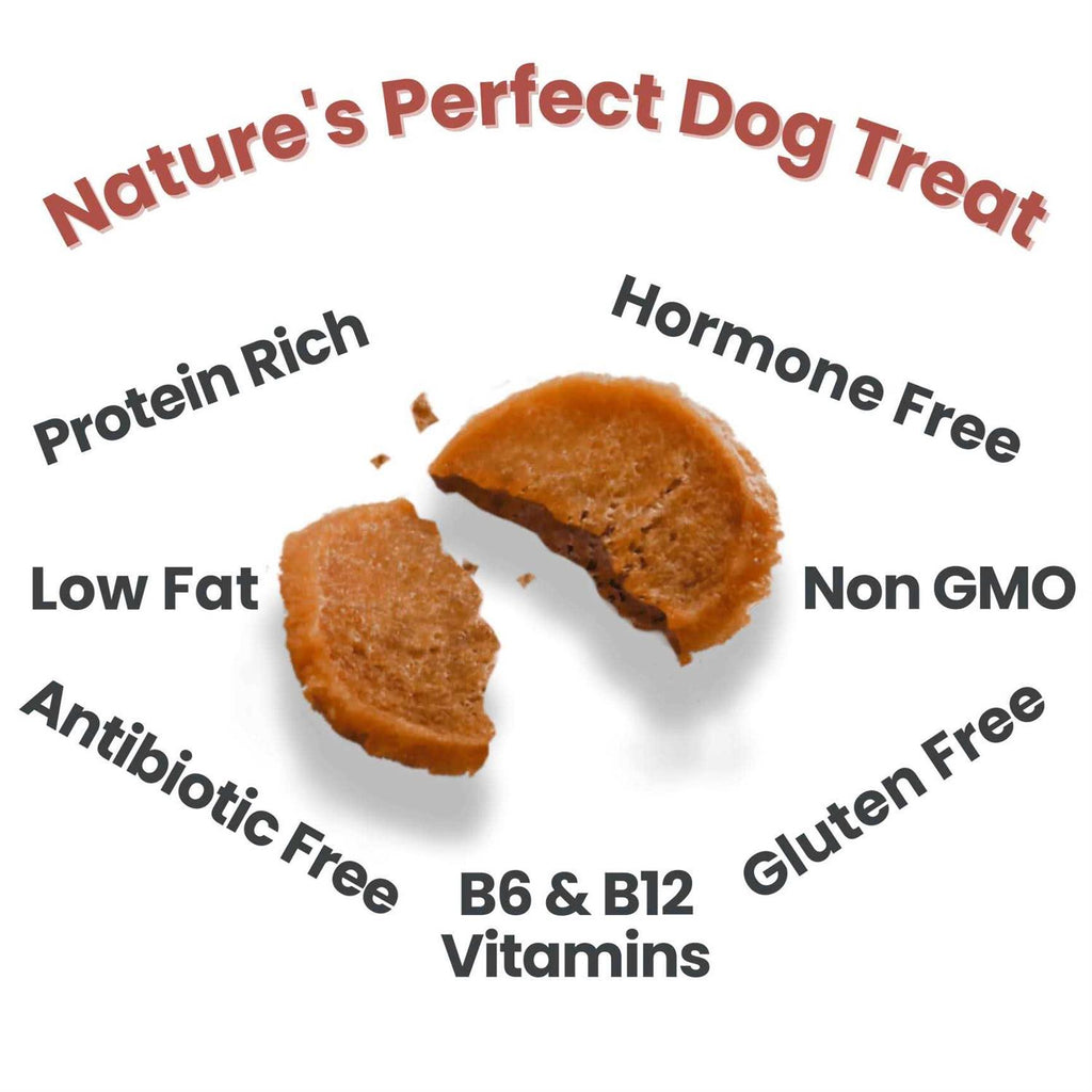 Turkey Chips Dog Treats V628