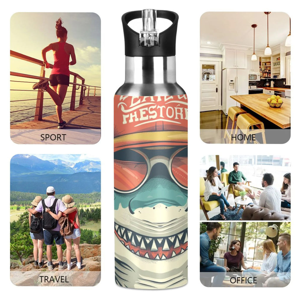Insulated Stainless Steel Water Bottle with Straw Lid, 20 oz S243664