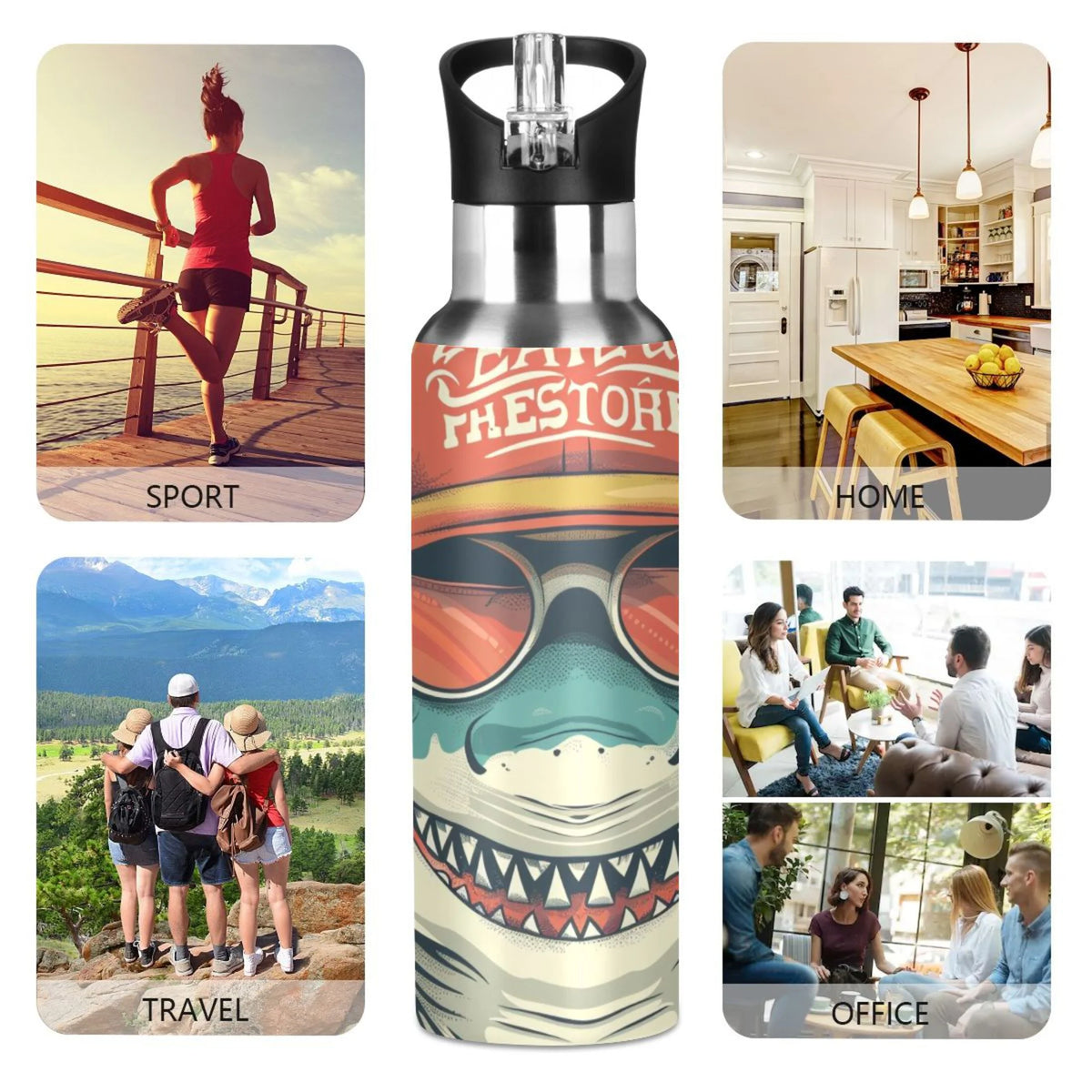 Insulated Stainless Steel Water Bottle with Straw Lid, 20 oz S243664