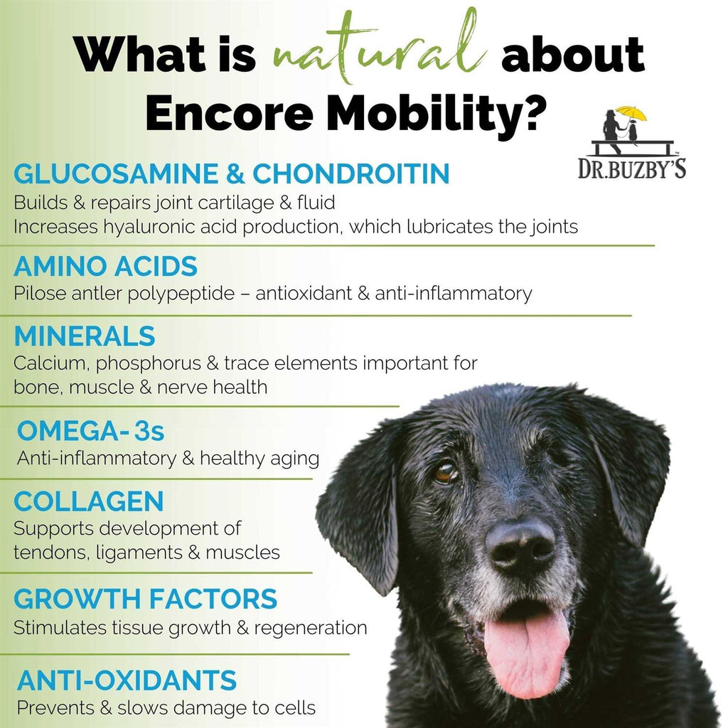 90 Chewable Tablets Hip & Joint Supplement for Senior Dogs Q46766