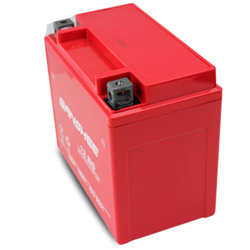 12 V 12Ah SLA AGM Battery E886990