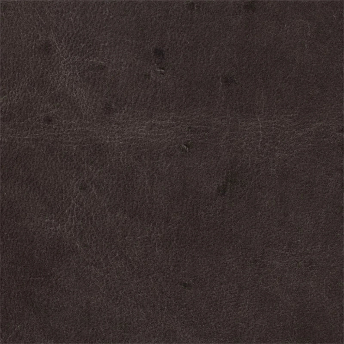 Dark Brown Leather Wing Club Chair S66825
