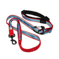 Dog Leash L959