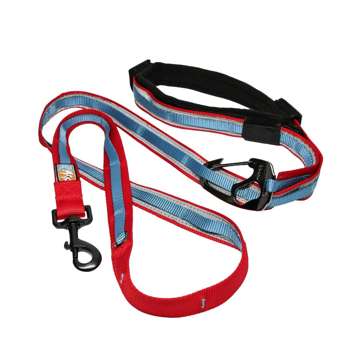 Dog Leash L959