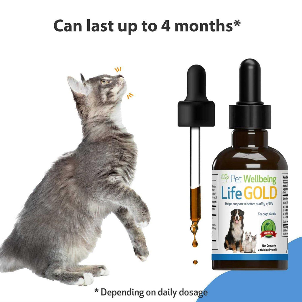 Life Gold for Dogs U938683