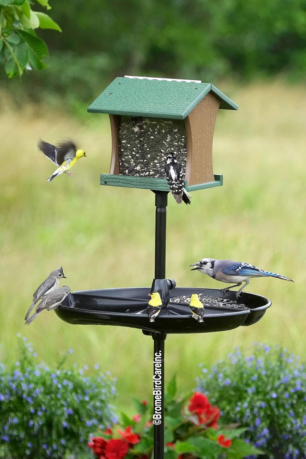 Pack of 2 Seed Catcher Tray for Wild Bird Feeders S368225