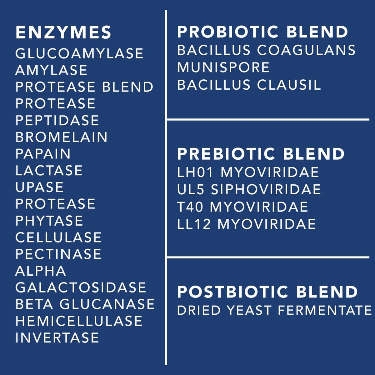 4-in-1 Prebiotic Probiotic & Postbiotic 60 capsules N466