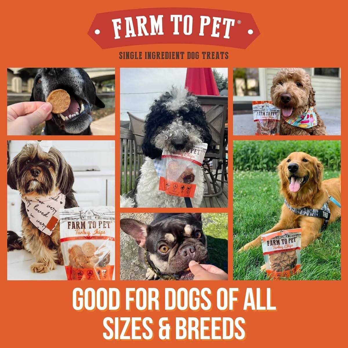 Turkey Chips Dog Treats V628