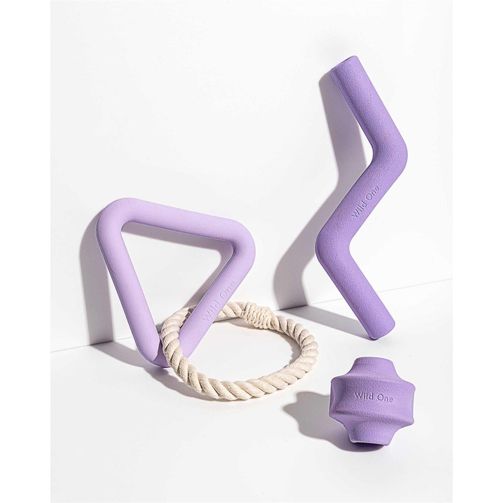 Dog Toy Y86309