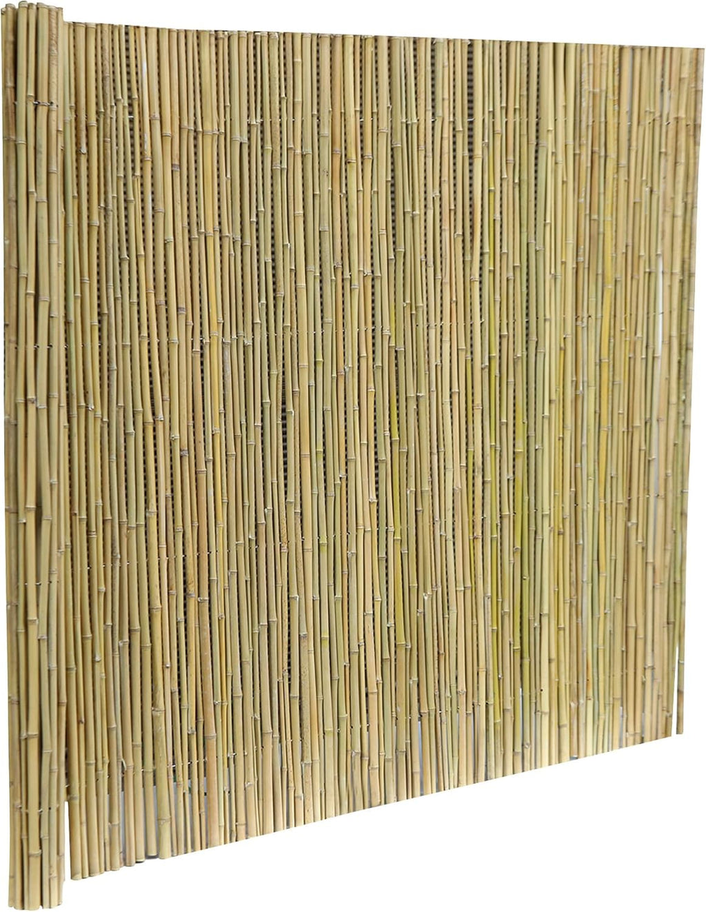 Bamboo Fence 8ft x 6ft Natural Privacy Screen H809