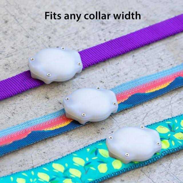 Waterproof AirTag Dog Collar Mount W706789