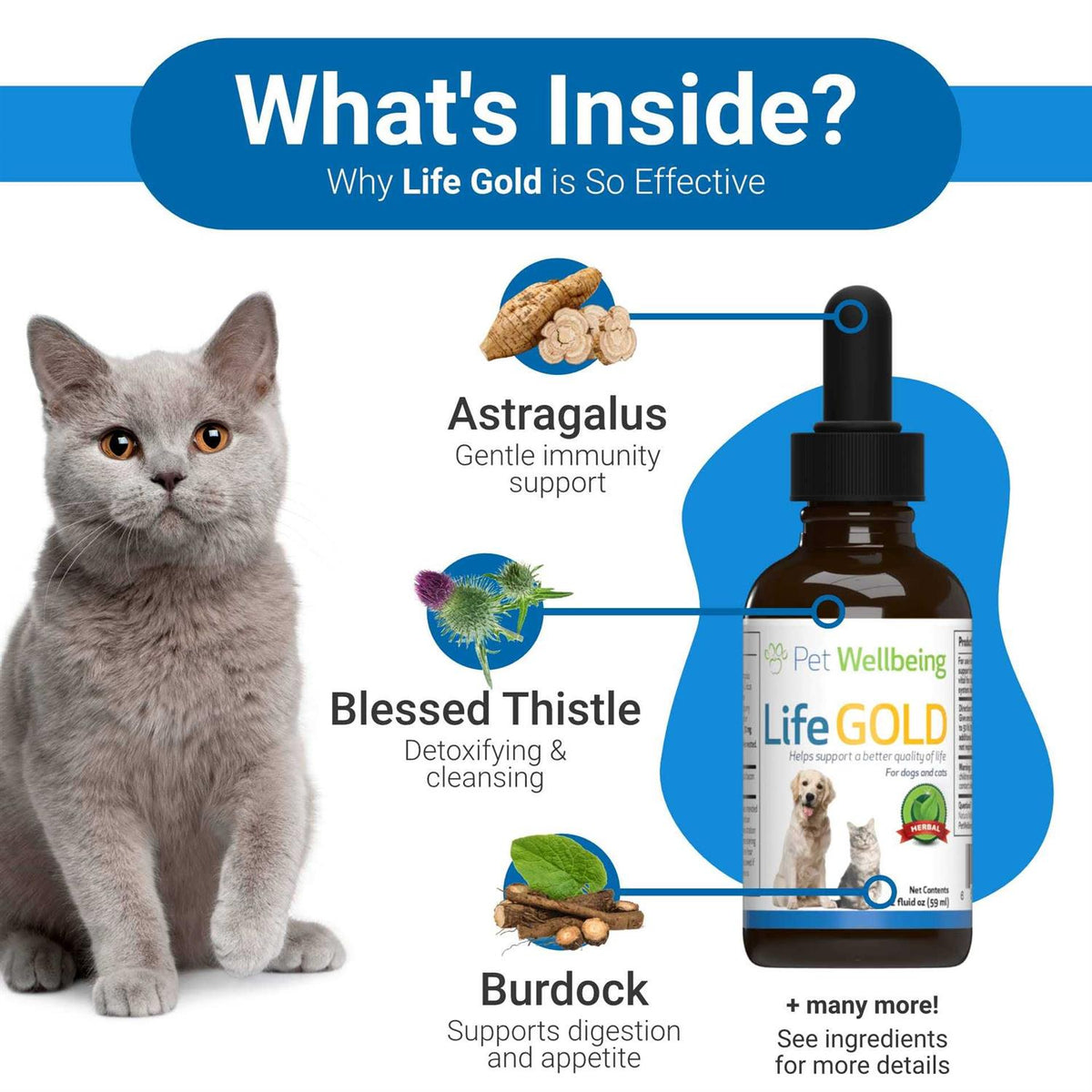 Life Gold for Dogs U938683