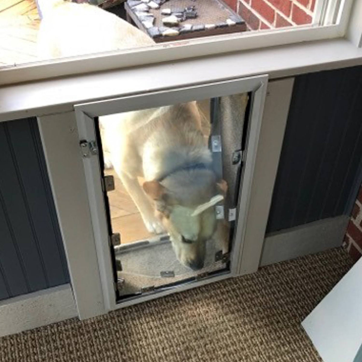 White Double Flap Pet Door for Walls U9049